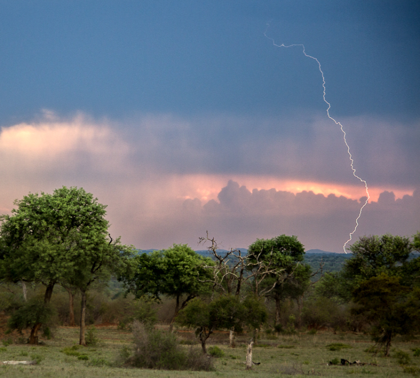 Landscapes 80