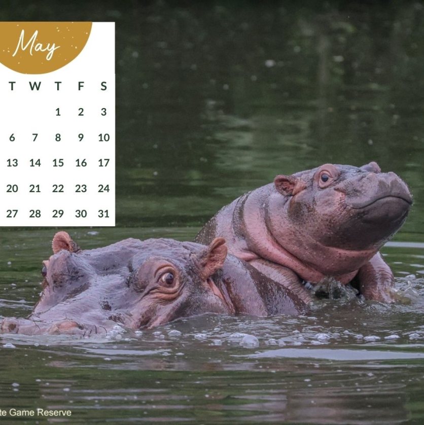 Sabi Sabi Desktop Calendar 2025 May