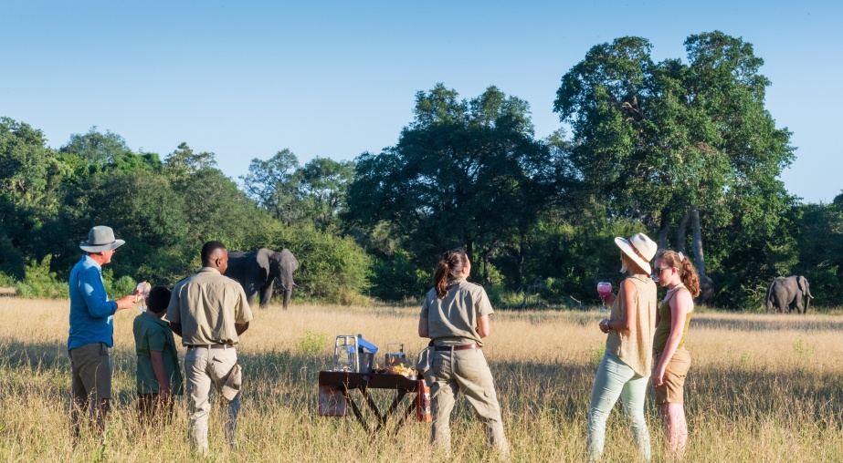 Embark on thrilling elephant encounters on foot, an unforgettable African safari experience. Embark on thrilling elephant encounters on foot, an unforgettable African safari experience.