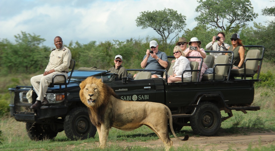 Sabi Sabi guests on a private game drive captivated by a majestic male lion sighting.