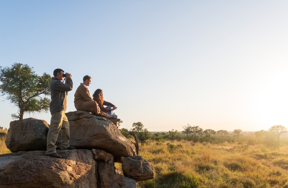 Sabi Sabi Experience Walking Safari Overlooking Horizon Sabi Sabi Experience Walking Safari Overlooking Horizon