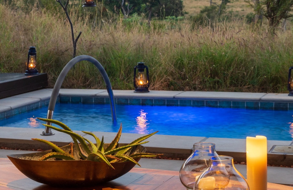 Luxuriate in a tranquil private pool at Earth Lodge, surrounded by nature's splendour.