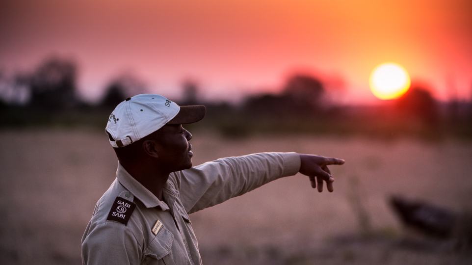 Expert safari guide interaction during a private walking safari. Expert safari guide interaction during a private walking safari.