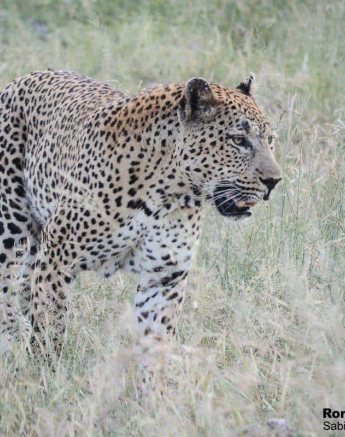 12Ronald Mutero Max 03022020 7 Final 12Ronald Mutero Max 03022020 7 Final