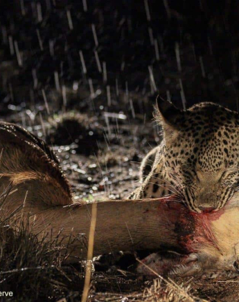 04Louise Murray Ntsumi 27052020 3 Final 04Louise Murray Ntsumi 27052020 3 Final