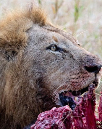 25ronald Mutero Stix And Nwash 18062021 Nr 7 Final 25ronald Mutero Stix And Nwash 18062021 Nr 7 Final