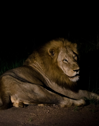 Majengilanes 6 Majengilanes 6