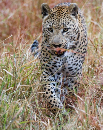 10505475 702388269808827 3954988555466109151 N