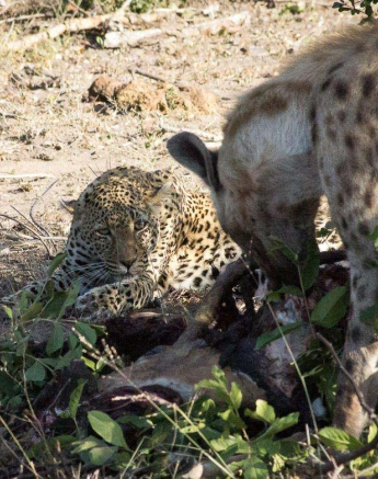 09Dylan Leo Smith White Dam 2 09Dylan Leo Smith White Dam 2