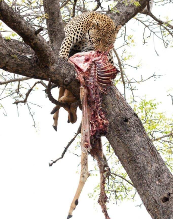 14Kevin Van Der Linde White Dam 31102019 Final 14Kevin Van Der Linde White Dam 31102019 Final