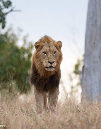 33Brett Heasman Nwas 09062020 1 Final