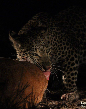 09Louise Murray Ntsumi 27052020 8 Final 09Louise Murray Ntsumi 27052020 8 Final