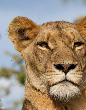 A12ronald Mutero Sp 15062022 Final A12ronald Mutero Sp 15062022 Final