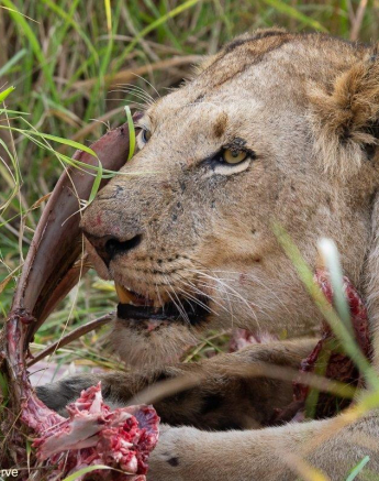 A10ronald Mutero Mhangeni 05082022 6 Final