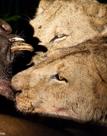 07ronald Mutero Styx 02012023  5 Final