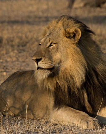 12Franscois Rosslee Charlstonmadoda3 1 Of 1 12Franscois Rosslee Charlstonmadoda3 1 Of 1