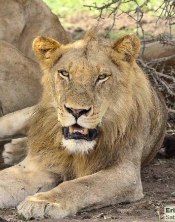 A20Erin Herbst Kambula 2 131221 Final A20Erin Herbst Kambula 2 131221 Final