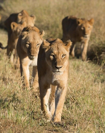 27Terry Ennever SP 18517 Final 27Terry Ennever SP 18517 Final