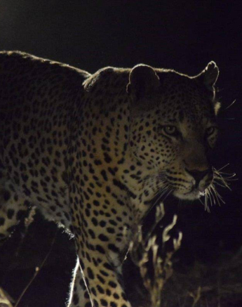 11Maryke Nel Max 24072019 3 Final 11Maryke Nel Max 24072019 3 Final