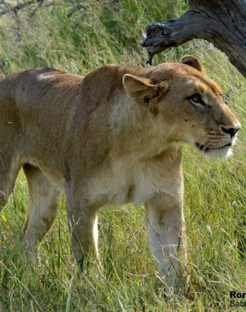 02Ronald Mutero Sp Females 08022020 Final