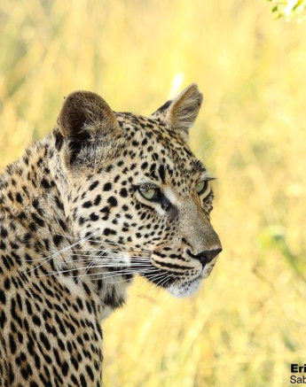 A09Erin Herbst Golonyi 1 090222 Final