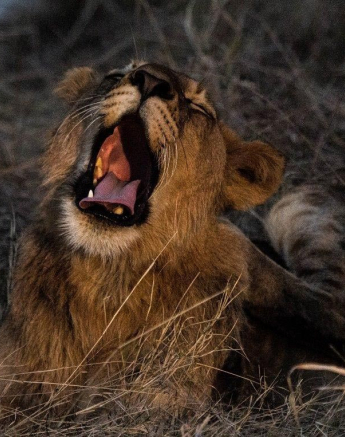 09Kevan Dobbie SP 12.06.2 Final