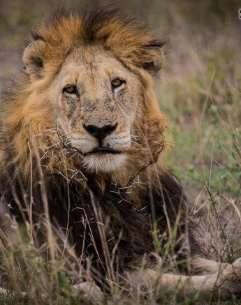 13Kevan Dobbie Matimba Males 2210.1 Final