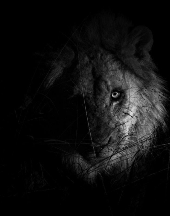 28Kerry Lee Roberg Avoca1004.1 Final