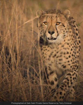 10467104 701839426530378 3988698364969228675 O