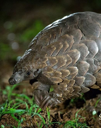 10397211 812321008815552 1170190644239316003 O