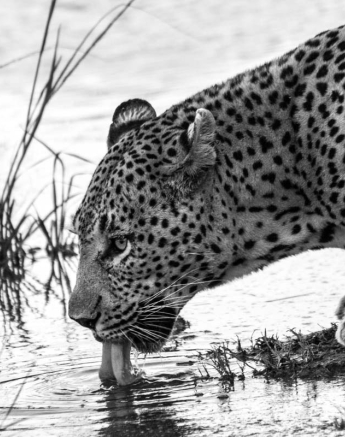 02Tayla McCurdy Maxabeni 10 March 16 3