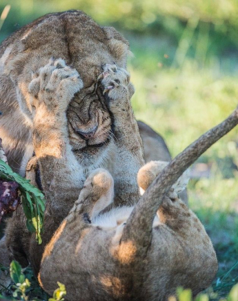 06Terry Ennever Hunger Games5 Final