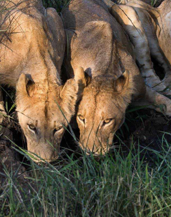 03Franscois Rosslee Sp 31012018 1 Final 03Franscois Rosslee Sp 31012018 1 Final