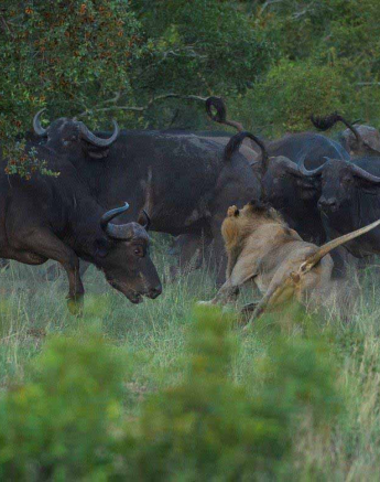 09Terry Ennever Avoca 18218 3 Final