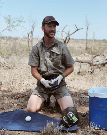 04Hein Egg 03 Process Image