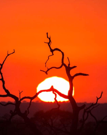 03Frederik Aucamp Sunrise Final 03Frederik Aucamp Sunrise Final