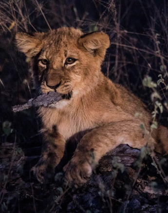 10Kevan Dobbie SP 19.06.1 Final