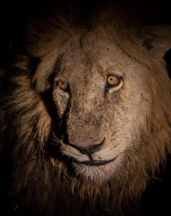 09Kevan Dobbie Matimba Males 1910.1 Final