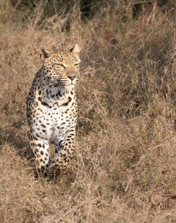 A22Jason Street Ntsumi 030822 2. Final