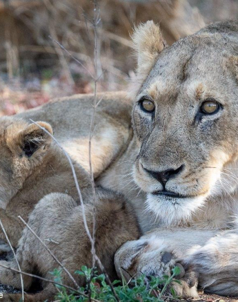 A21ronald Mutero Stix 26092021 3 Final A21ronald Mutero Stix 26092021 3 Final