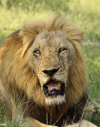 A14Erin Herbst Nwas 111212 Final A14Erin Herbst Nwas 111212 Final