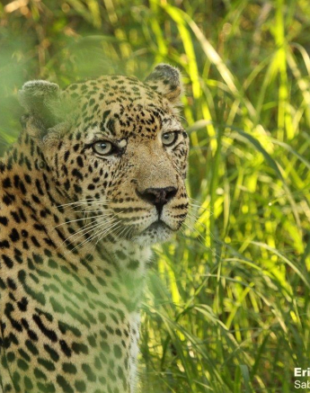 A27Erin Herbst Dewane 111212 Final A27Erin Herbst Dewane 111212 Final