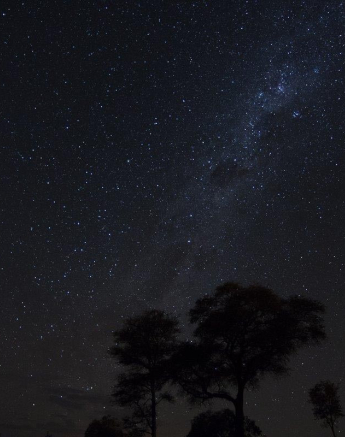 07Sheldon Hooper Star Stitch 6