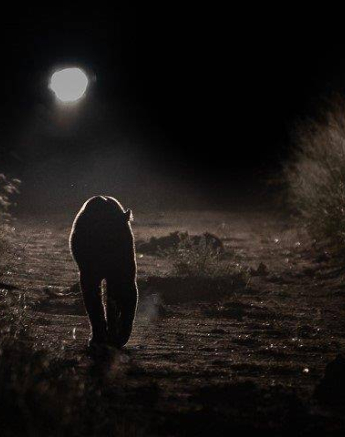 02Tyron Van Der Walt White Dam 210420 1 Final