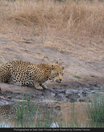 10497345 723020194412301 3329352335840396032 O