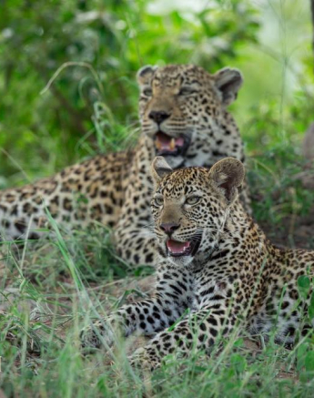 10974276 808636662517320 2069027316968970729 O