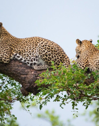 04Terry Ennever LBC 16117 Final