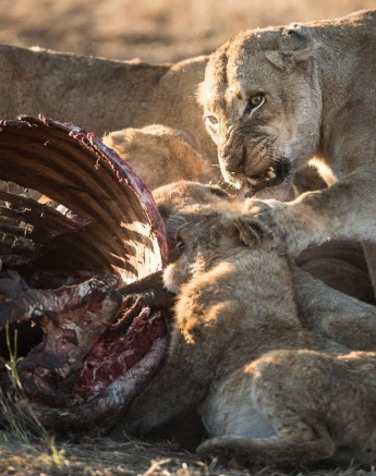 09Terry Ennever SP 6717 Final