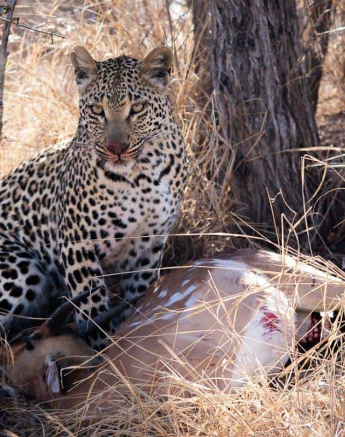 03Kerry Lee Roberg Ntsumi 0510181 Final 03Kerry Lee Roberg Ntsumi 0510181 Final