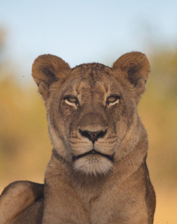 06Louise Murray Sp 10062019 Final 06Louise Murray Sp 10062019 Final